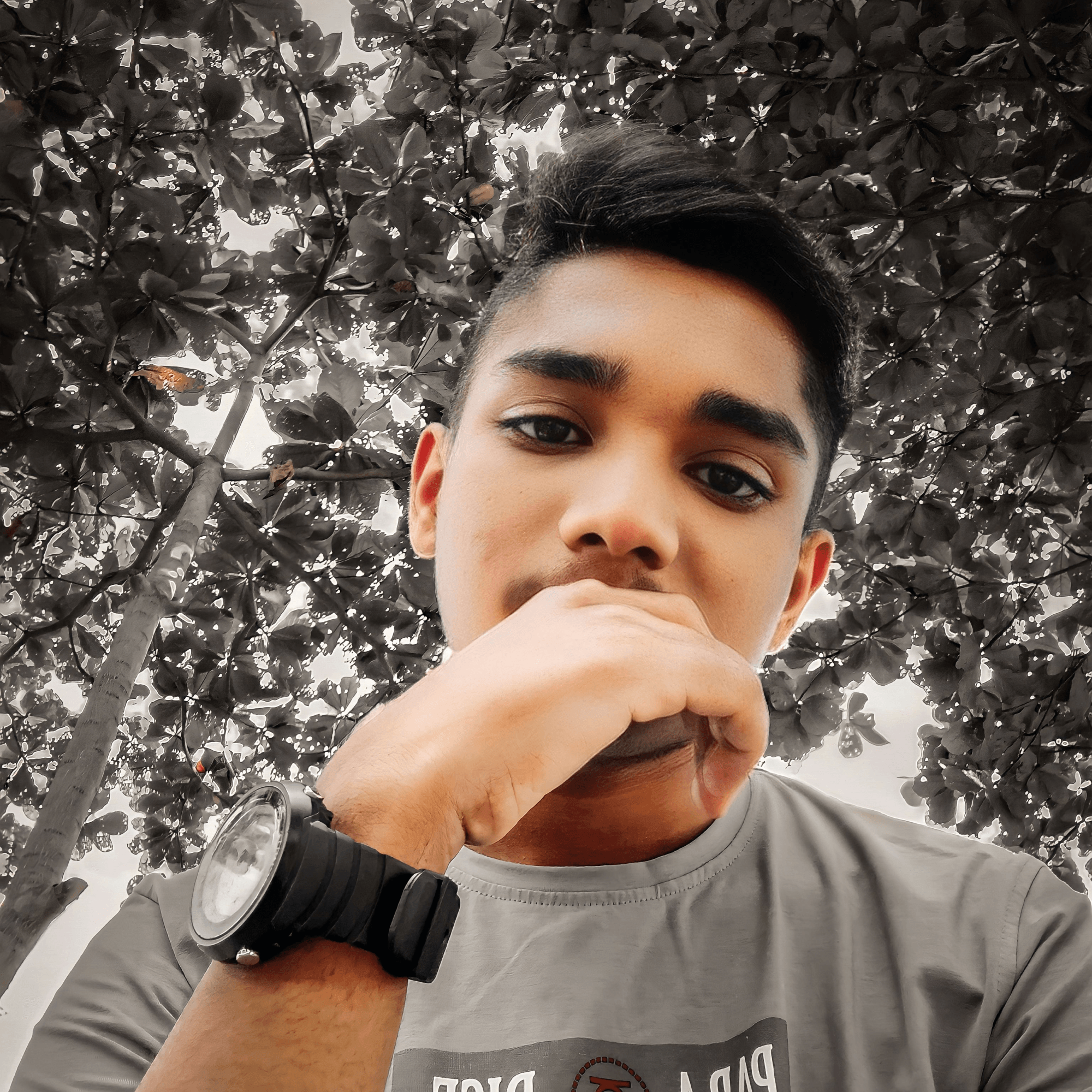 Sabbir Ahmed's profile picture